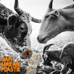 Sapi Makan Plastik by Natinson