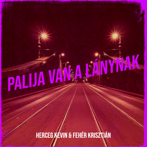 Palija Van a Lánynak by Herceg Kevin