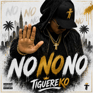 NO NO NO by TIGUEREKO
