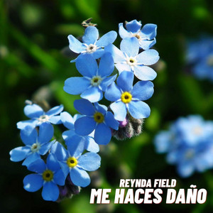 Me haces daño by Reynda Field