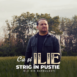 CA SI ILIE STRIG IN PUSTIE by Biji Din Bărbulești