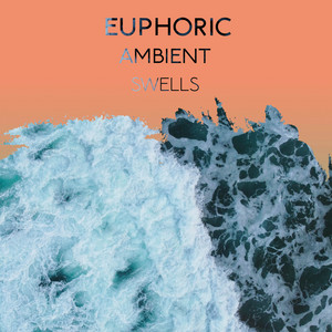 zZz Euphoric Ambient Swells zZz album