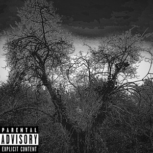 Portada de Dancing Trees
