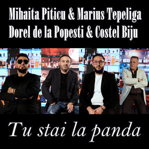 Mihaita Piticu - Tu stai la panda (feat. Dorel de la Popesti, Costel Biju & Marius Tepeliga)