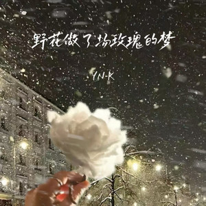 野花做了场玫瑰的梦 by YN-K