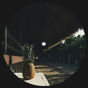 100 reasons by kemt