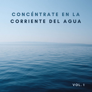 Concéntrate En La Corriente Del Agua Vol. 1 album