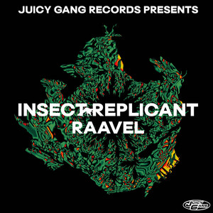 Raavel cover
