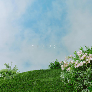vanity.