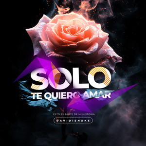 Solo Te quiero amar - Balada