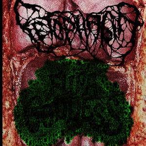 Fupa Goddess - DankyBongBluntTree