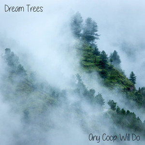 Ichneumonidae by Dream Trees