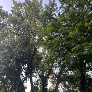 Ghosts of Rem - Spaceman (feat. Malcolm Supra)