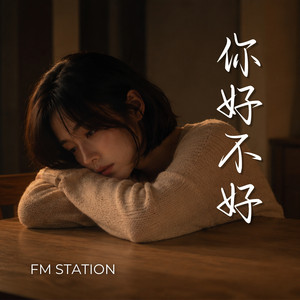 你好不好 by FM Station