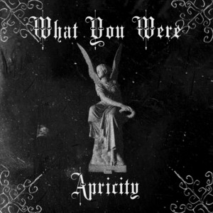 What You Were by Apricity