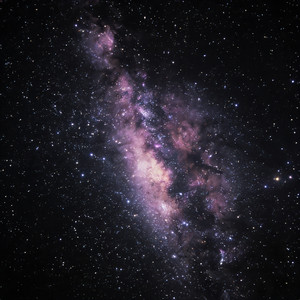 Nothing to Worry About Tonight by Pallid Garden