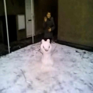 Sno Rabbit (Shufler e Shufler) by G0o0Tas