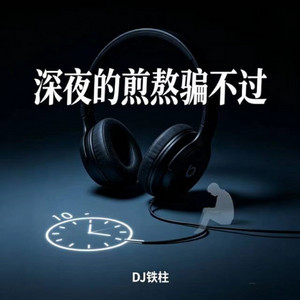 深夜的煎熬骗不过 - DJ奶龙版 by DJ铁柱, DJ奶龙