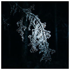 Crazy Times by Rose Absinthis
