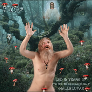 Halleluya by LSD, D-Element, Tears Of Fury