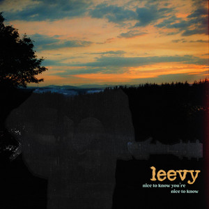 Nice to Know you're Nice to Know by Leevy