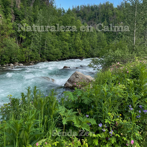 Naturaleza en Calma by Senda Zen