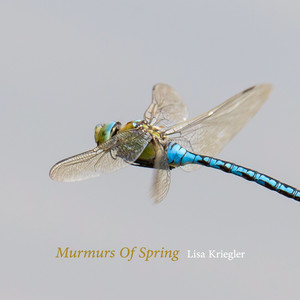 Murmurs Of Spring by Lisa Kriegler