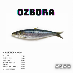 Oravske Dievcata