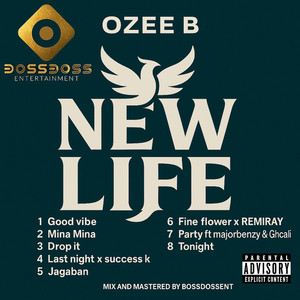 Party by OZEE B, Majorbenzy, GhCALI