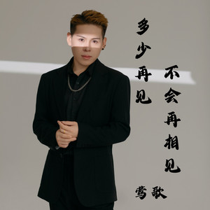 多少再见不会再相见 - Dj版 by 莺歌, Venn