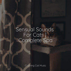 Sensual Sounds For Cats | Complete Spa album