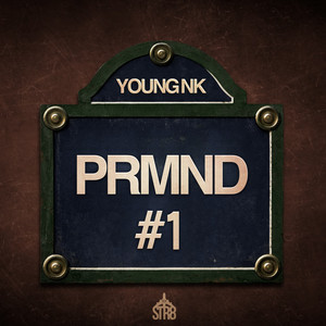 PRMND #1 by Young N.K