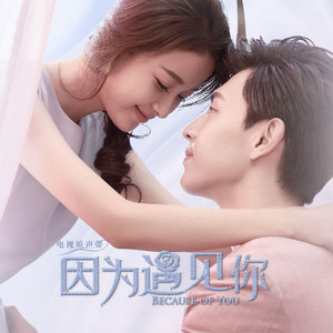 Zhang Yang Yang - 什么样的爱情 (《因为遇见你》电视剧插曲)