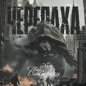 Обкладинка: Черепаха