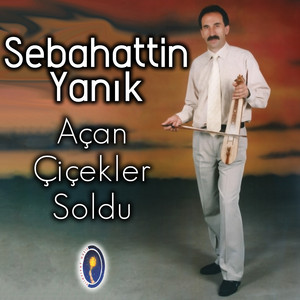 Sebahattin Yanık - Yuvamı Yıkacaksın
