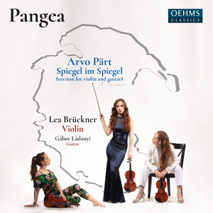 Arvo Pärt - Spiegel im Spiegel (version for violin and guitar) — Arvo Pärt