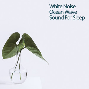 White Noise Ocean Wave Sound For Sleep album