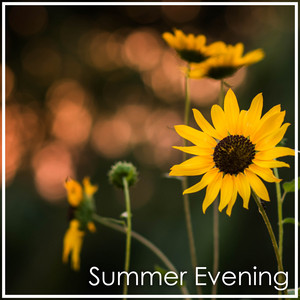 Dvořák: Summer Evening album
