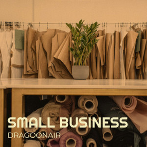 Small Business - Radio Edit by Dragoonair