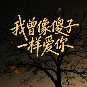 我曾像傻子一样爱你 by 白兰的