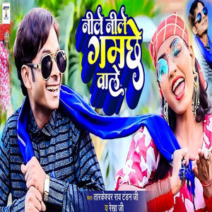 Tarkeshwar Rao Tandan & Rekha Ji - Neele Neele Gamche Wale