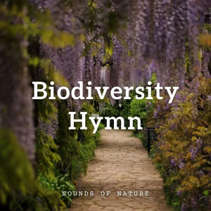 Sounds of Nature: Biodiversity Hymn album