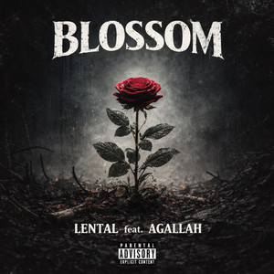 Blossom by Lental, Agallah