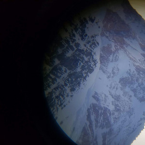 The Boolers - Biden's Stimulation