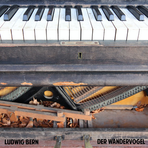 Der Wandervogel by Ludwig Bern