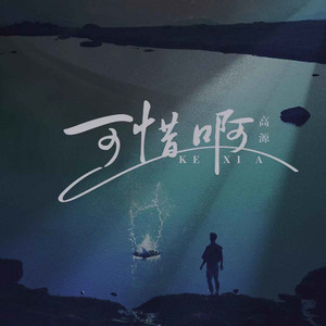 可惜啊 - 伴奏 by 高源