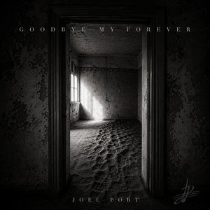 Goodbye My Forever by Joel Port