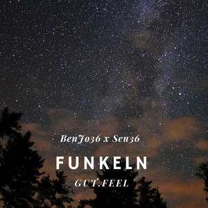 Portada de Funkeln