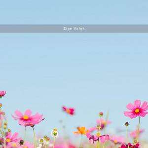 Static Petals by Zion Valek
