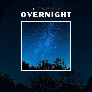 Overnight by Wiley Aspin